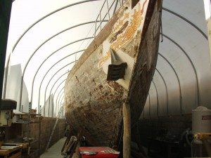 Elise in her purpose-built shed today